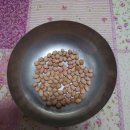 땅콩씨앗 나눔합니다(왕땅콩 추가) 이미지