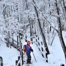 계방산 설산산행 이미지