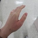 왕초보 이모티콘 만들기 | 월간일기 (신혼/반찬만들기/레몬차/왕과사는남자/춘천...카톡 이모티콘 3일간 무료)-정신없이 지나간...