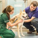 좋은 친구들 동물병원 이미지