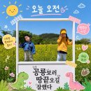 사르코수쿠스 | 해남아이랑 가볼만한곳 공룡박물관부터 하루코스 완벽정리