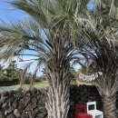 모아펜션 이미지