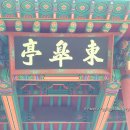 동고정東皐亭 이미지