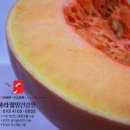 다이어트웰빙하우스 이미지