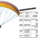 요트, 승마, 패러글라이딩 부담 없이 즐기는 고급 레포츠 이미지