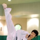 손태진태권도 이미지