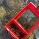 세븐일레븐 가평마장리점 이미지