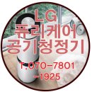 나우오토케어