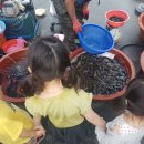 하양식당 이미지