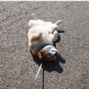 안산 시민시장 이미지