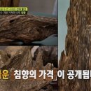 침향 효능에 대해 알아보자 먹는법과 침향 부작용까지 .침향환 이미지