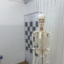 향남한의원 | 재활운동을 위해 찾은 화성향남재활피티 모브웰PT필라테스 향남점