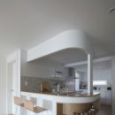 카멜레온 디테일 이미지