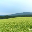 농업회사법인 (유)자연산업 네이버블로그