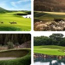 나인브릿지CC 이미지