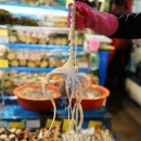 강원도래요 이미지