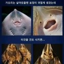 베스트수학