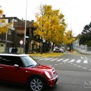 인사동길 이미지