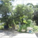 이현동4 이미지