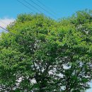 작은도서관 소풍 이미지