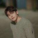 메리파인