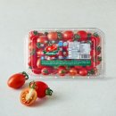 단마토유통 | 야미 스테비아 대추방울토마토 영양성분 및 보관법 총정리, 식단 관리 중인 분들에게 인기 있는 이유