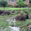 약초농원민박 이미지