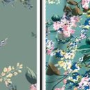 수정칼라 이미지