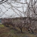 탄금야구장 이미지