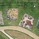 태극태권도 이미지