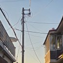 수원시 팔달구 창룡대로41번길 | 로컬의 맛 수원 화성 원주민과 함께 하는 행궁동 산책 😆