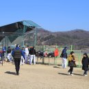 낙동강체육공원 야구장 이미지