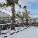 다솜스테이 이미지