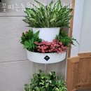 동림꽃농원 이미지