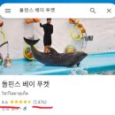 황준철TOP복싱클럽 | 푸켓 볼만한 쇼 평점 순 TOP 5, 5위부터 1위까지 순위 공개