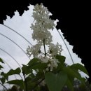 여난농장 이미지