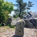 함지골청소년수련관 | 영도 봉래산(목장원-손봉-자봉-봉래산 정상-함지골 청소년 수련관)