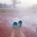 할머니네딸숯불곱창마을 이미지