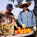 신곡농장 이미지