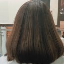 세라마이드염색약 컬러디자인 염색약 가을겨울염색단발머리탈색 단발머리염색 단발머리스타일링 머쉬룸...