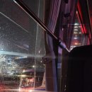 정재2공원 | 습기 가득한 이 곳을 나는 사랑해