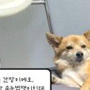 소이뷰티끄