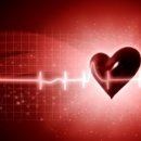 피트인365 이미지