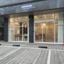 퍼쉬퍼피 이미지