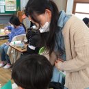 송정중앙초등학교 이미지