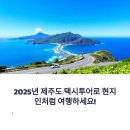 ㈜굿투어대한관광 | 제주 택시투어 후기, 굿투어 요금부터 예약 꿀팁까지