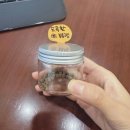 경희본한의원 | 진료원장이 직접 느껴본 도곡환 후기 (도곡경희한의원 / 다이어트 한약, 다이어트환)