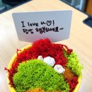 광남중학교 이미지