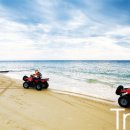 바다랜드 이미지