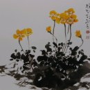 수묵화·사군자·산수화교실 이미지